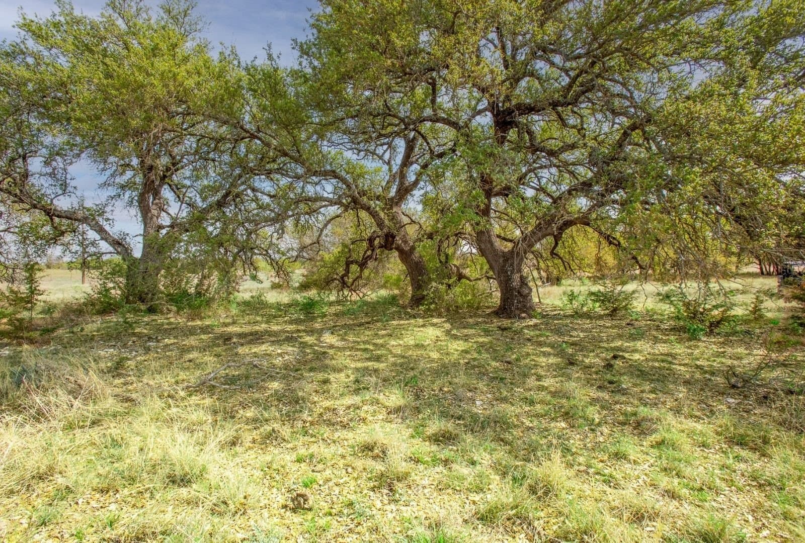 122 acres in Mills County - photo 7