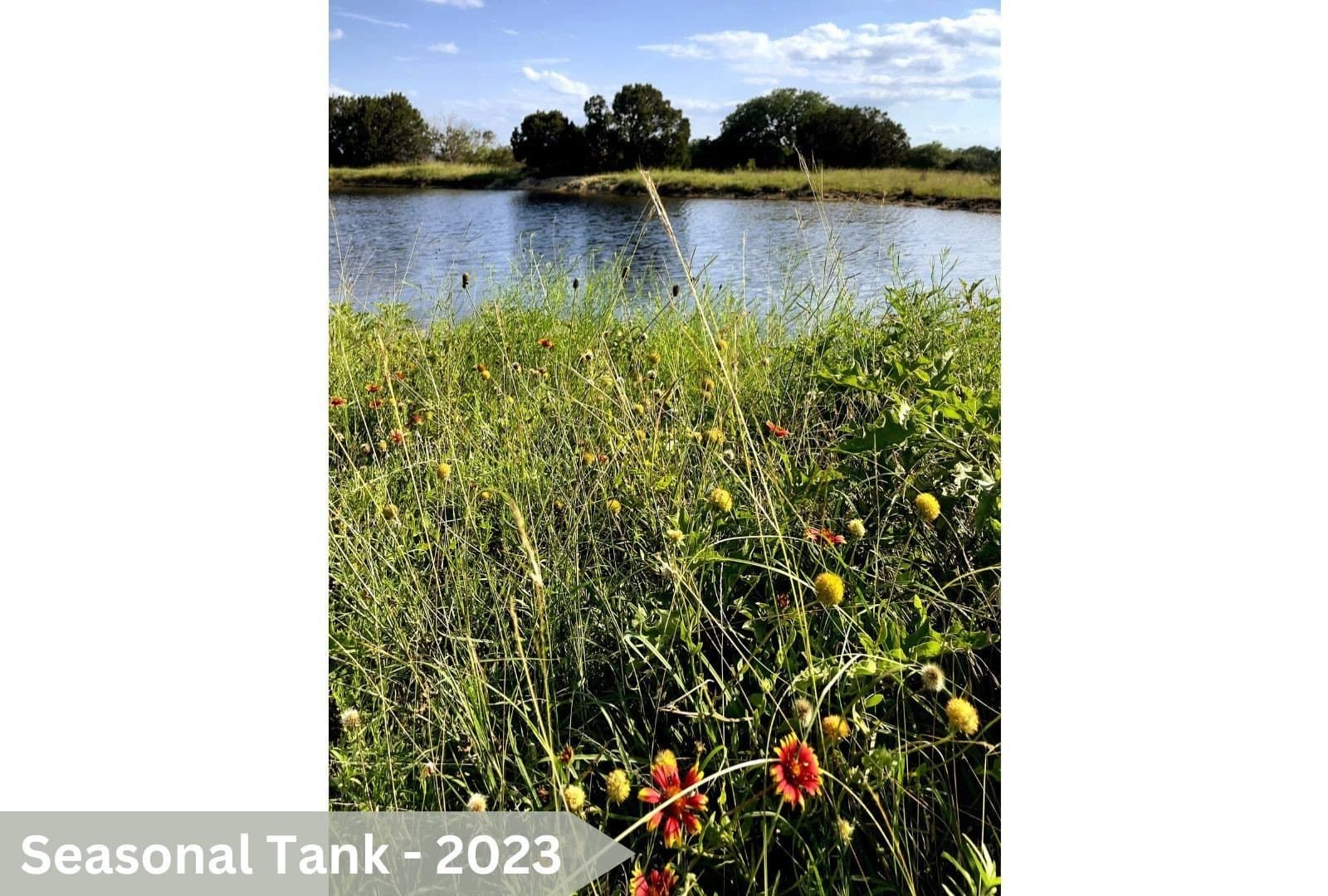 122 acres in Mills County - photo 34