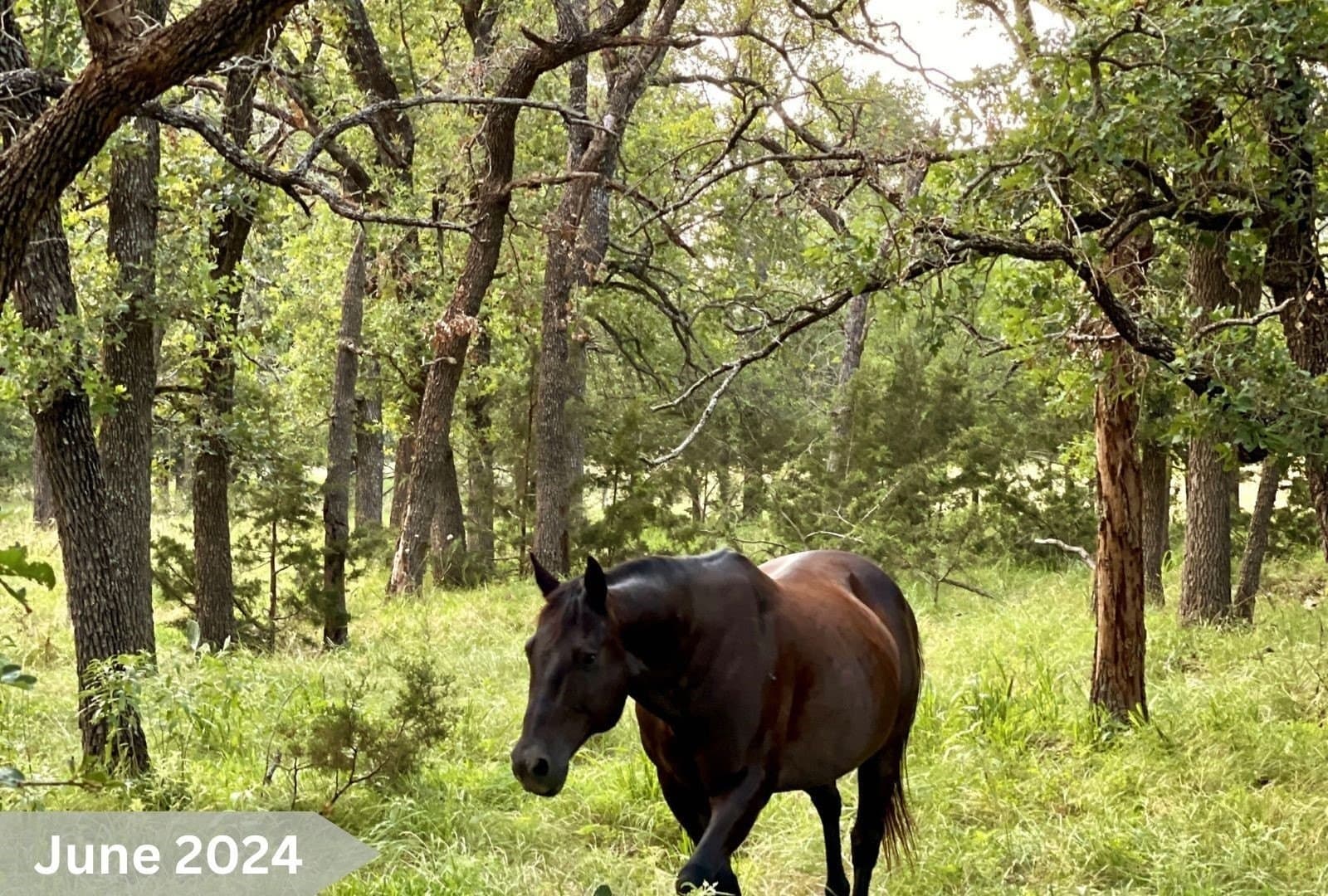 122 acres in Mills County - photo 28
