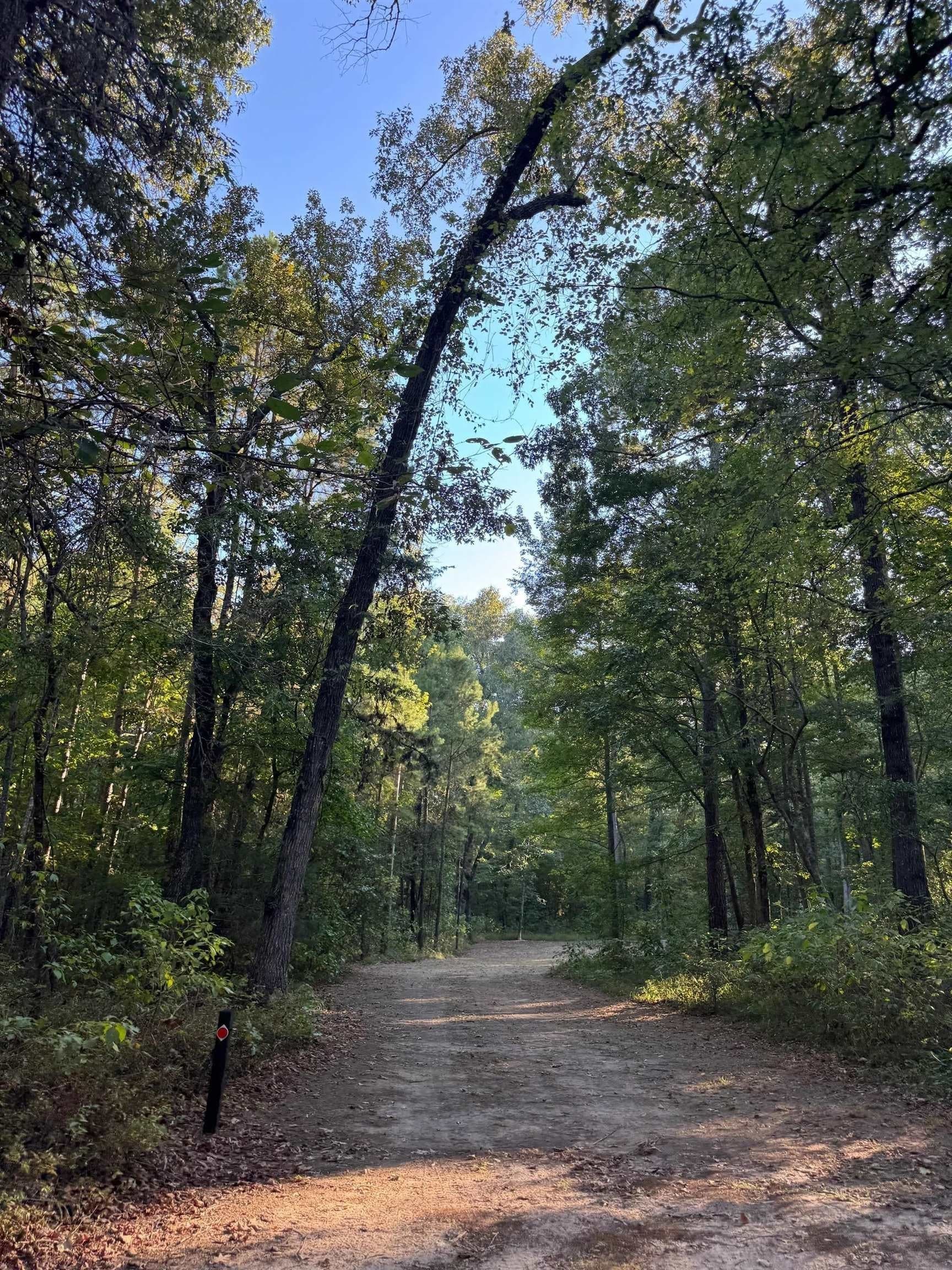 5 acres in Cass County - photo 20