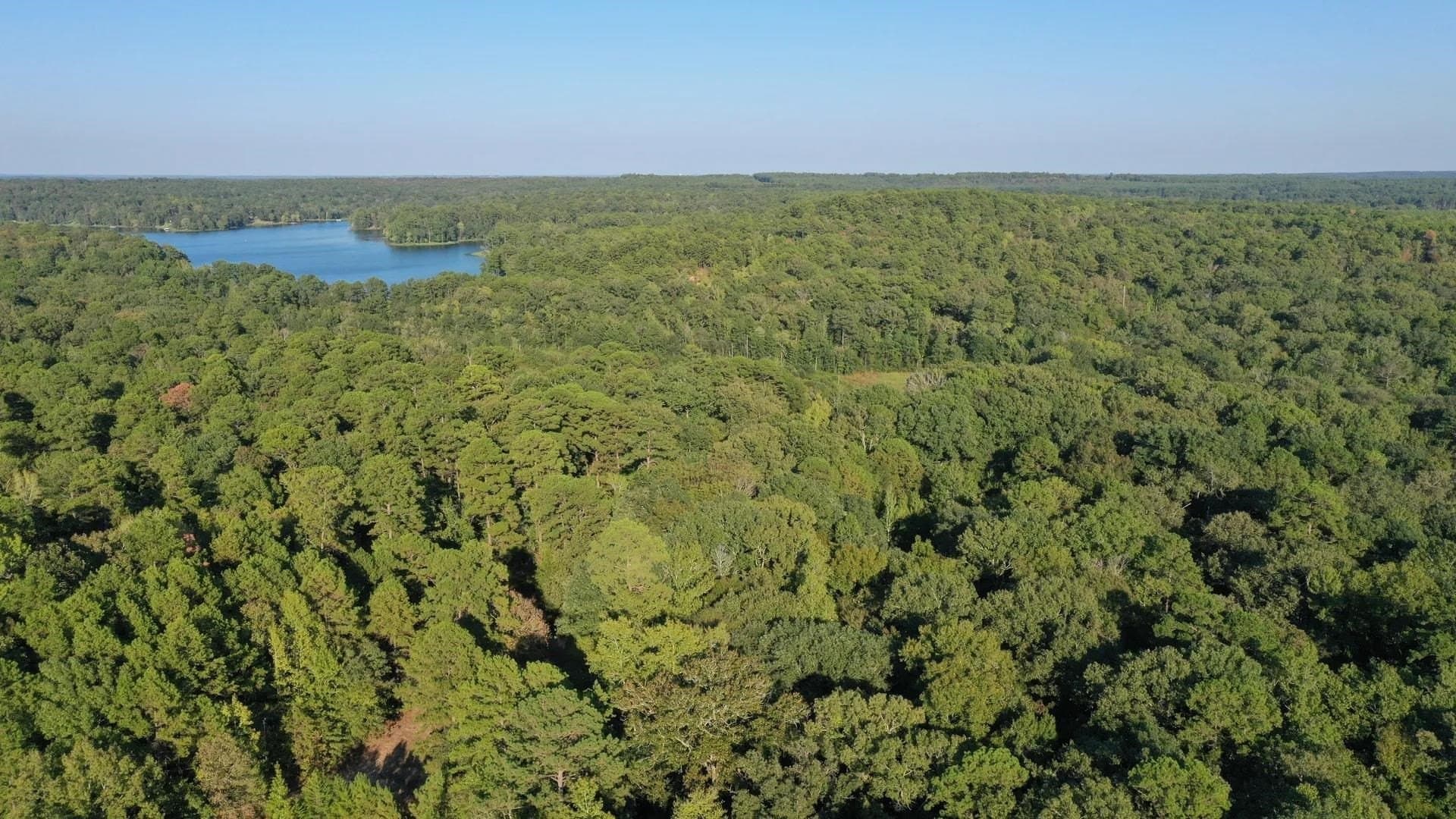 5 acres in Cass County - photo 3