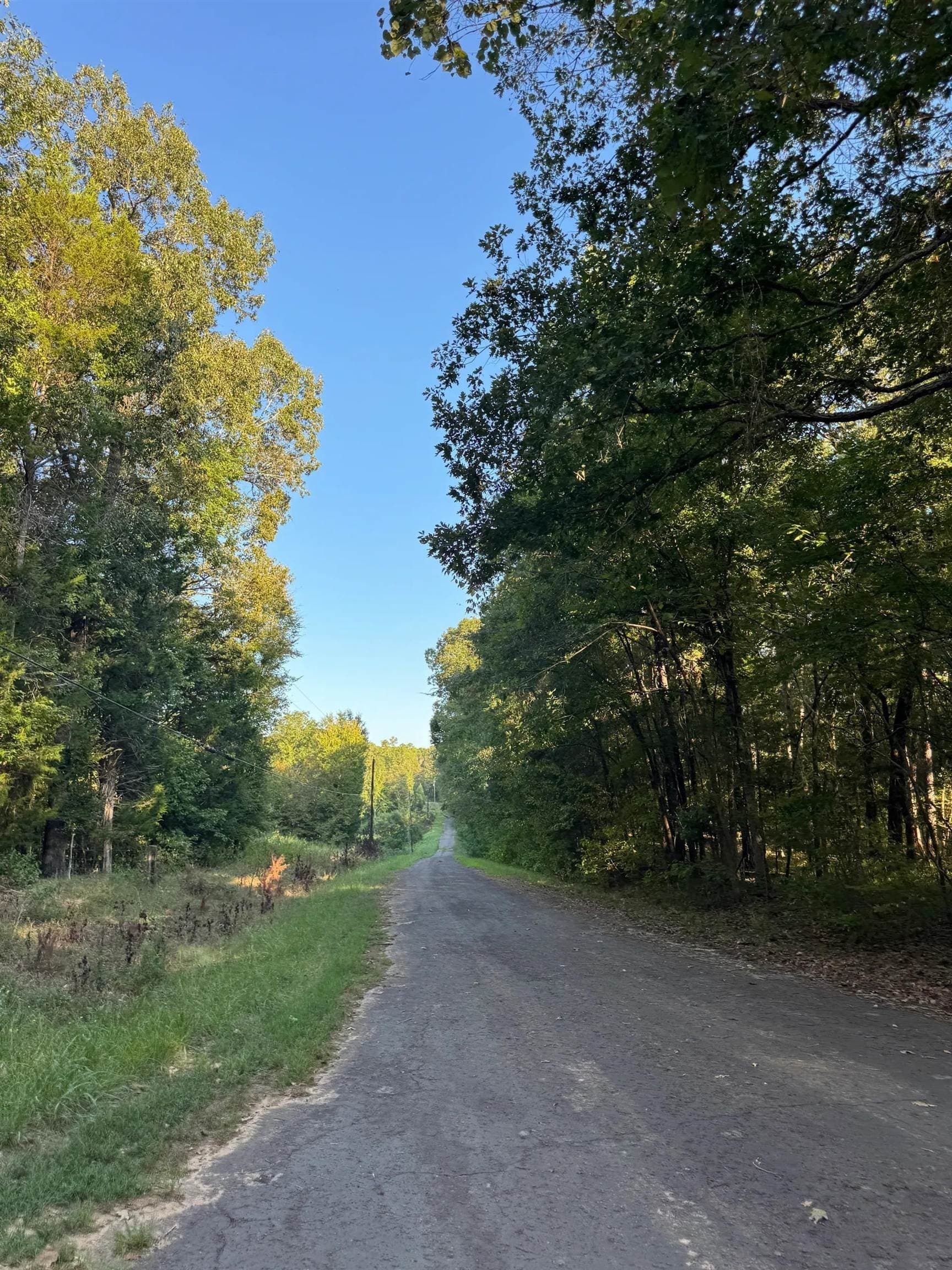 5 acres in Cass County - photo 18