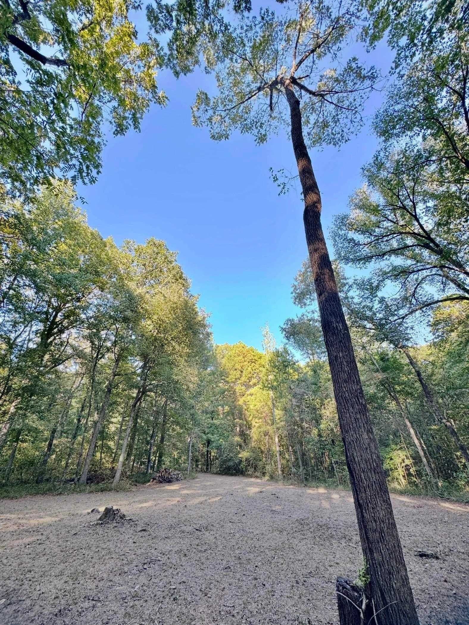 5 acres in Cass County - photo 12