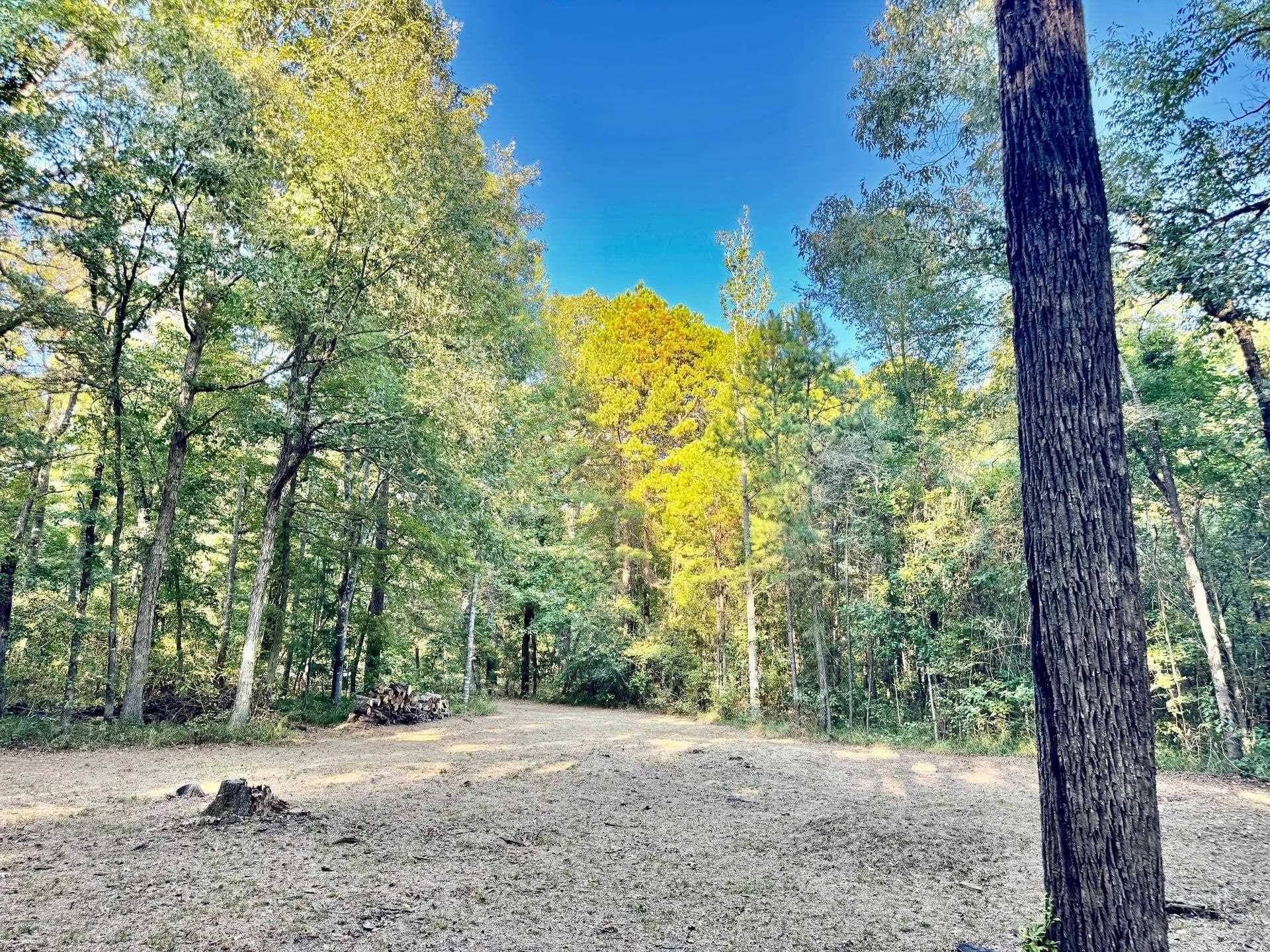 5 acres in Cass County - photo 11