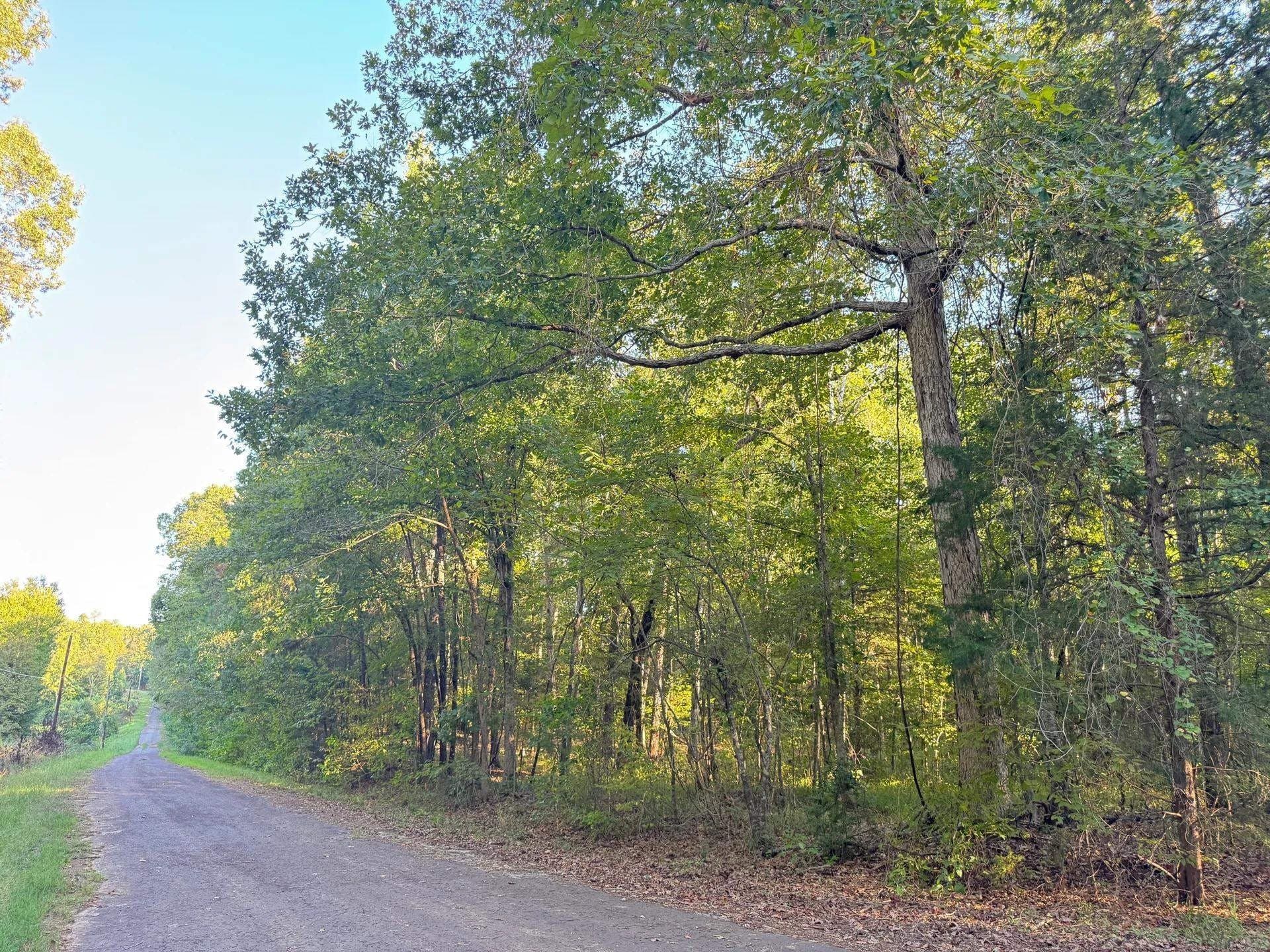5 acres in Cass County - photo 19
