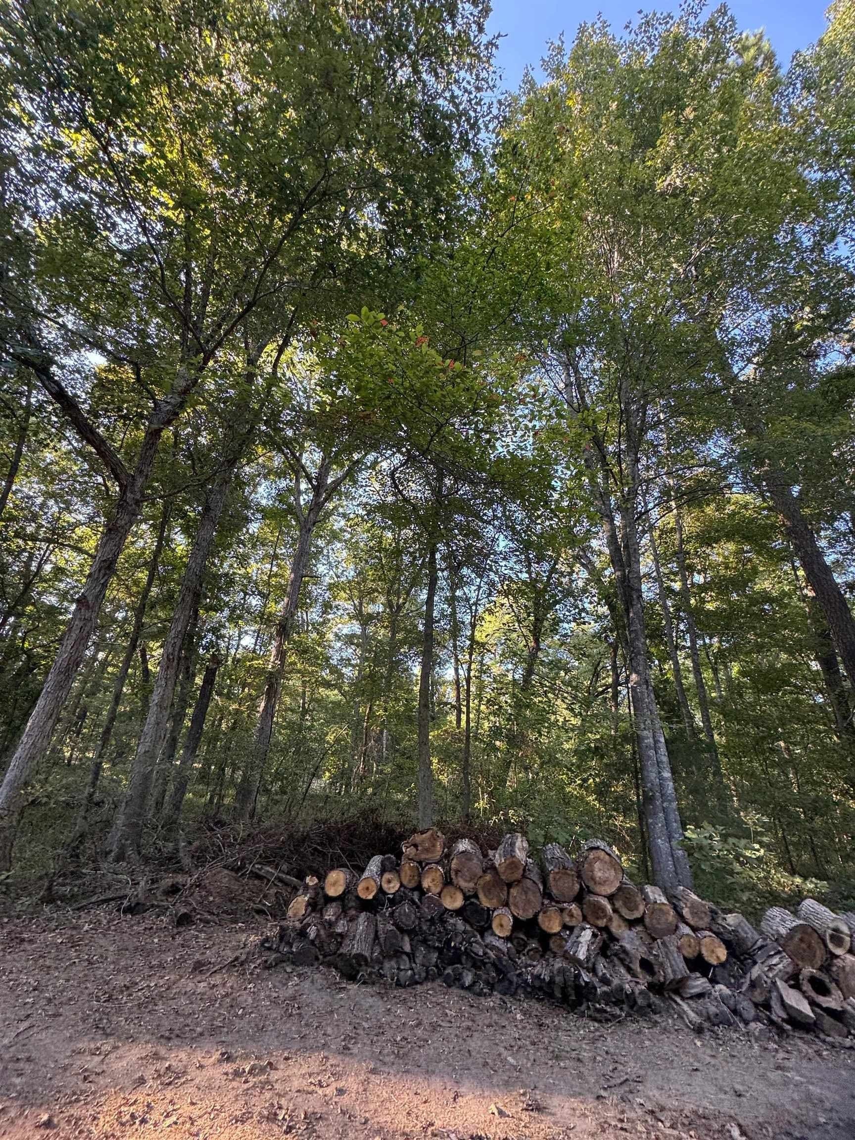 5 acres in Cass County - photo 17