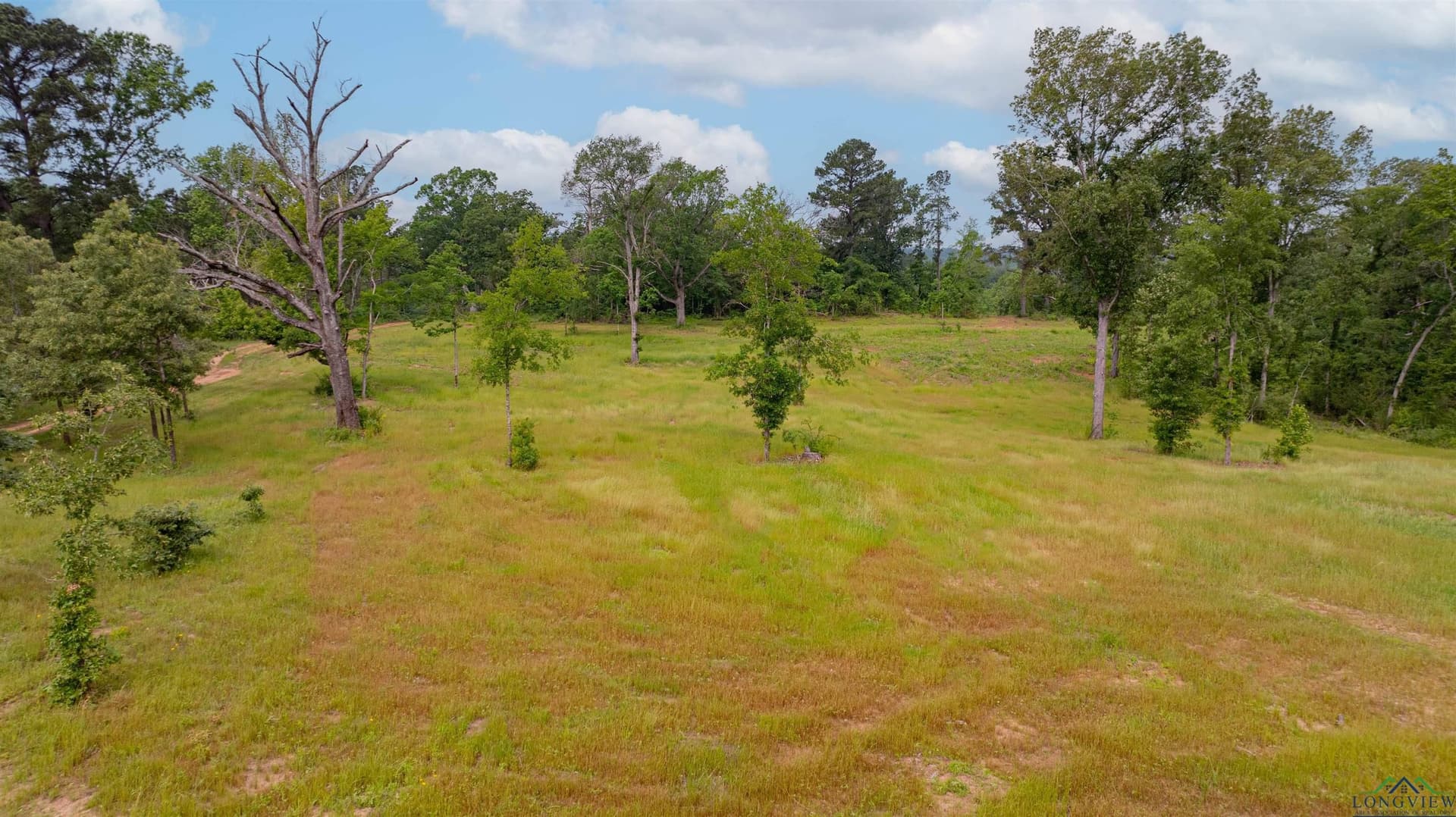 23.72 acres in Gregg County gallery image 4