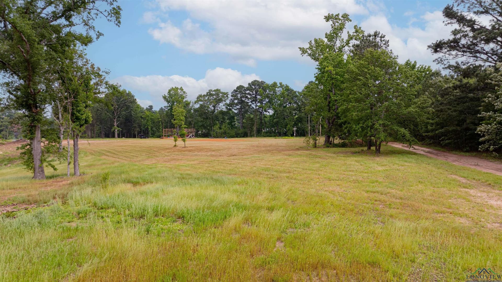 23.72 acres in Gregg County gallery image 3