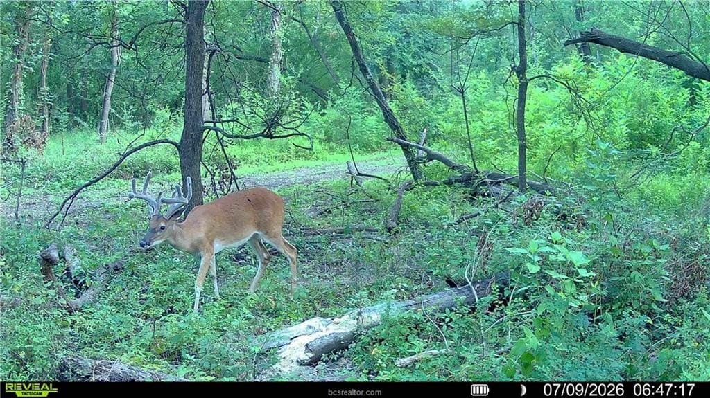 62.35 acres in Madison County - photo 22