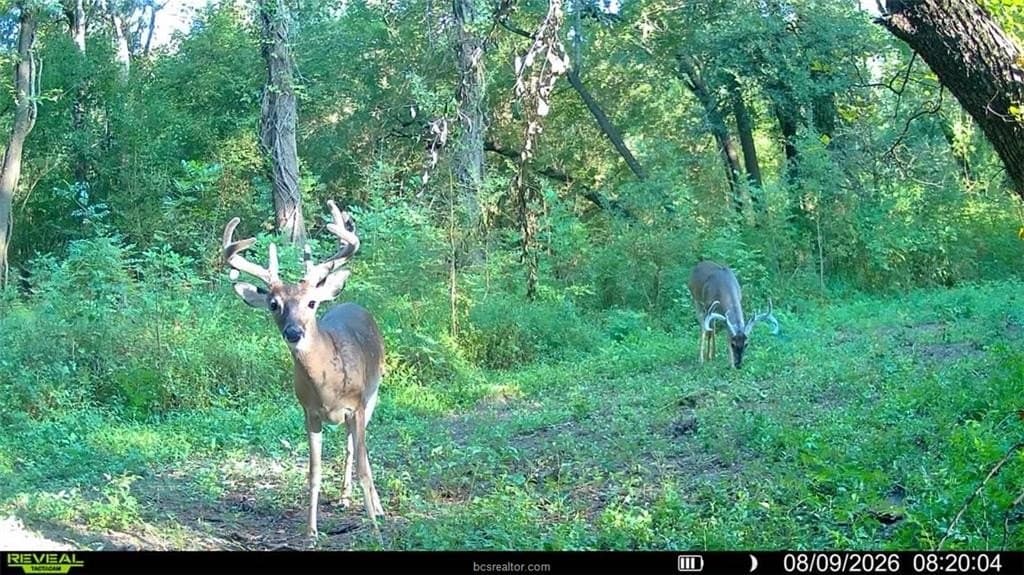 62.35 acres in Madison County - photo 23