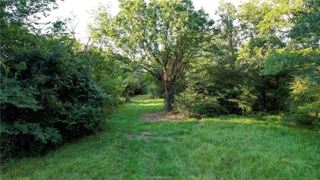 62.35 acres in Madison County - photo 9