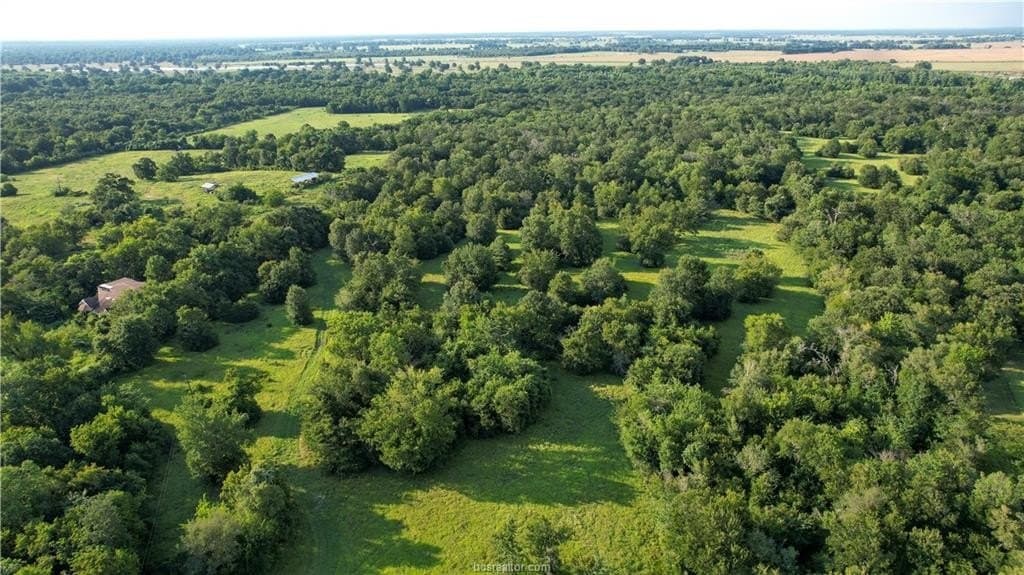 62.35 acres in Madison County - photo 6