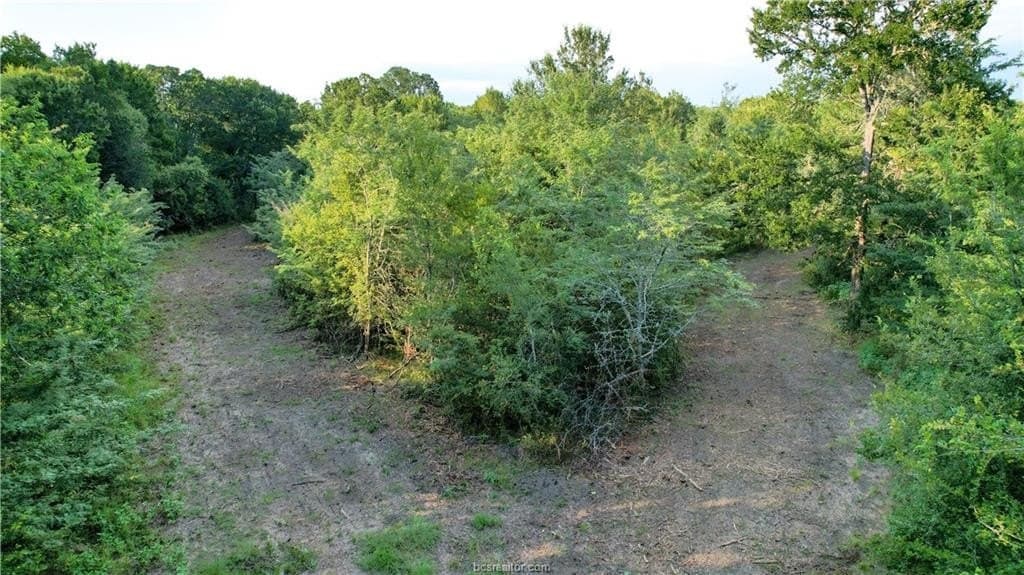 62.35 acres in Madison County - photo 11