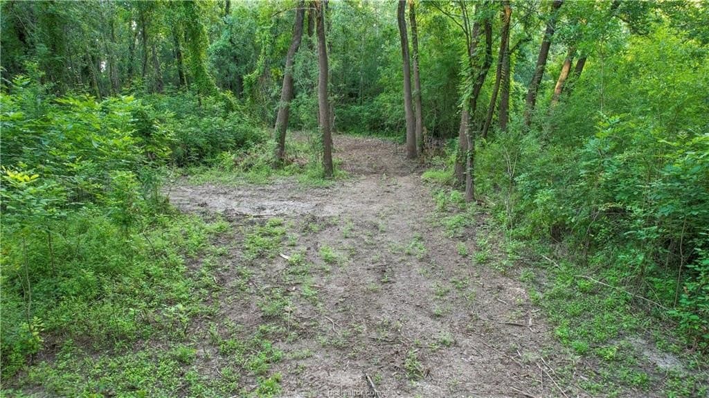 62.35 acres in Madison County - photo 13