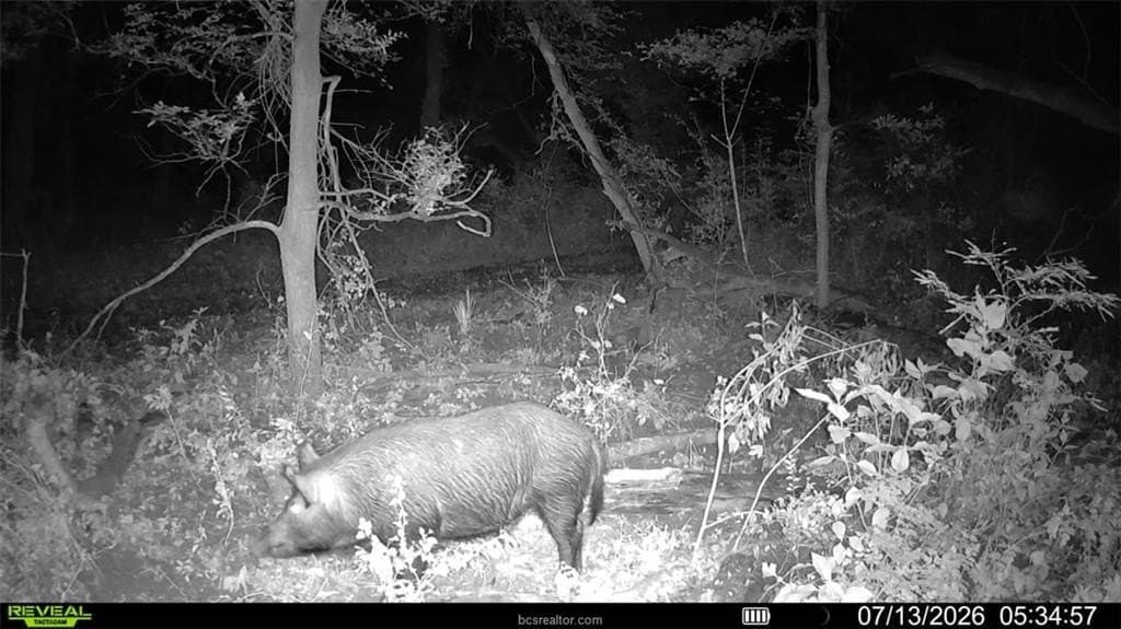 62.35 acres in Madison County - photo 25