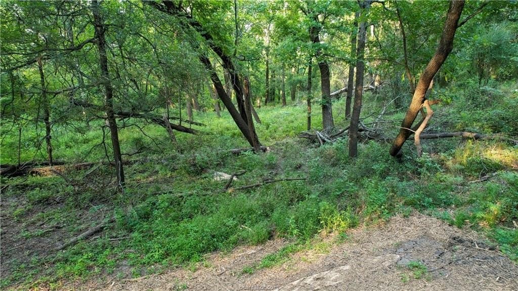 62.35 acres in Madison County - photo 14