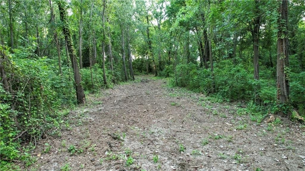 62.35 acres in Madison County - photo 12