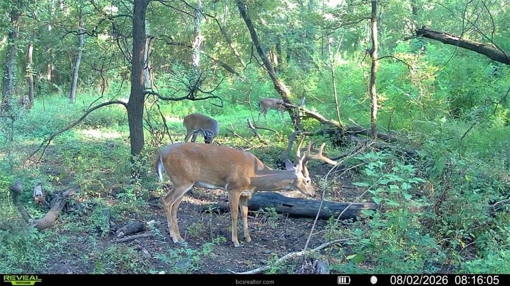 62.35 acres in Madison County - photo 20