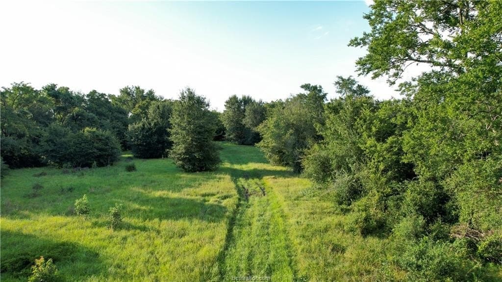 62.35 acres in Madison County - photo 7