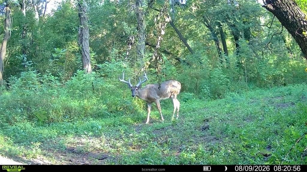 62.35 acres in Madison County - photo 19