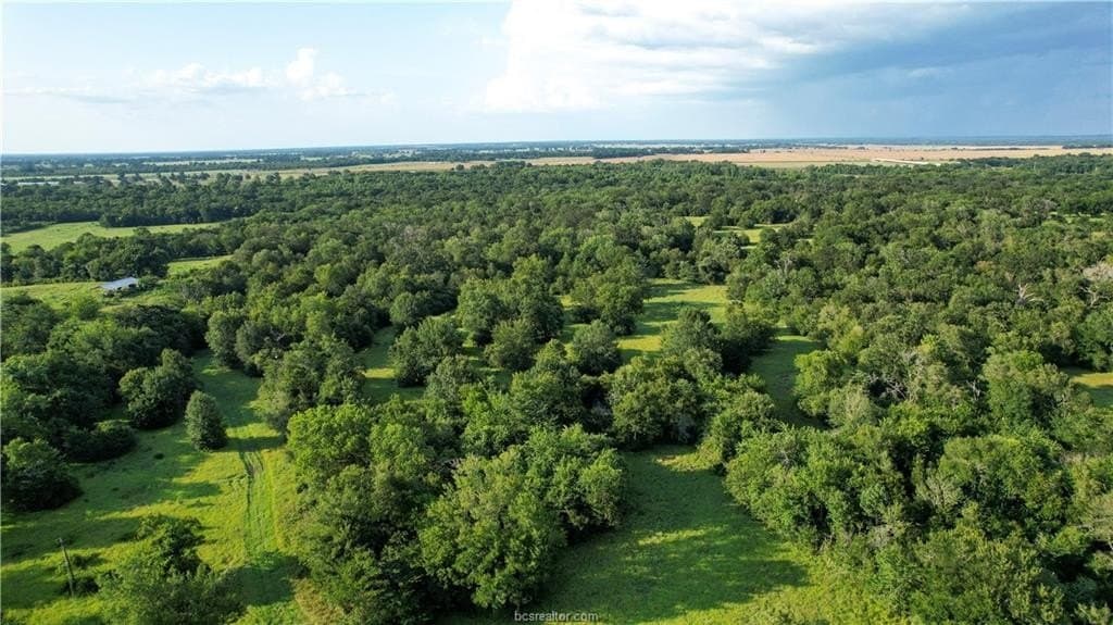 62.35 acres in Madison County - photo 5