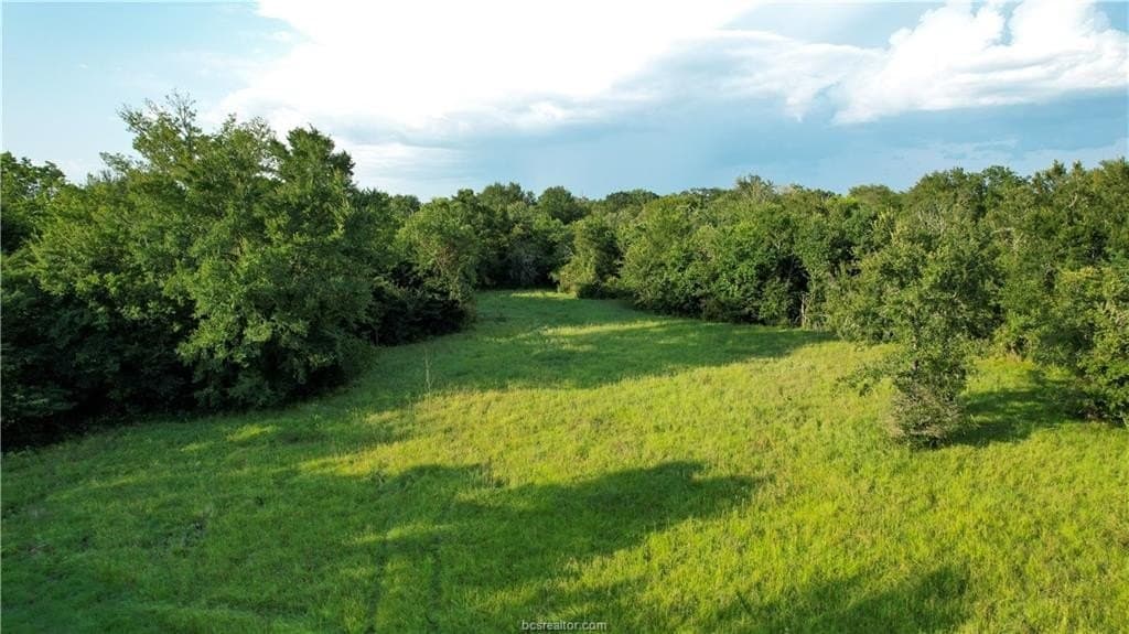 62.35 acres in Madison County - photo 8