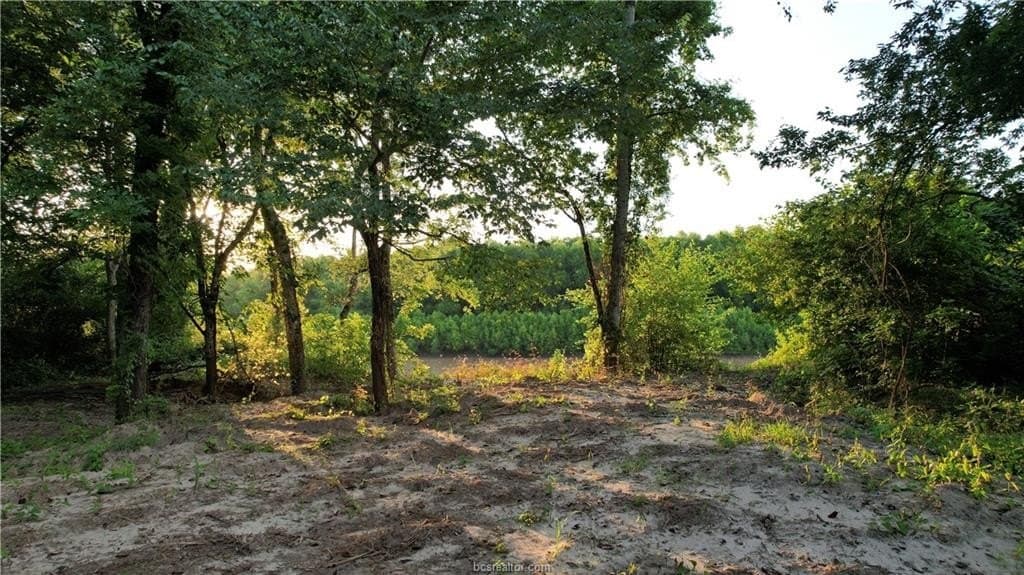 62.35 acres in Madison County - photo 4