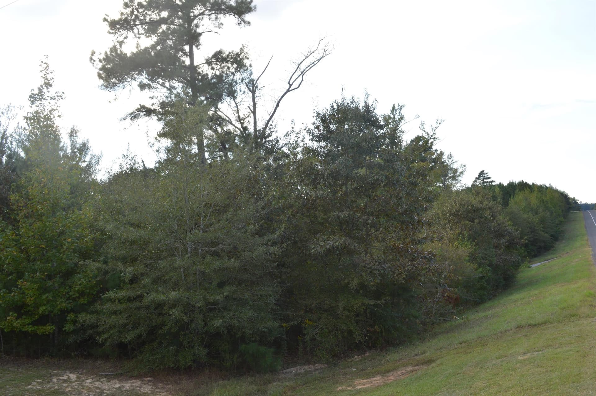 14.25 acres in Texas County gallery image 2