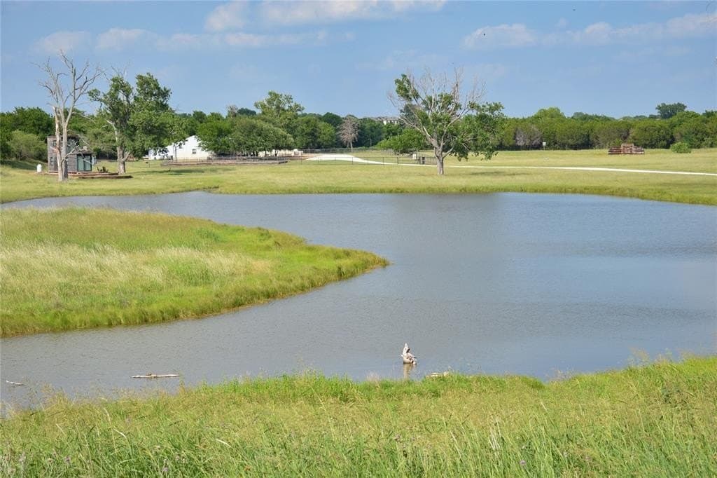 42.28 acres in McLennan County gallery image 3