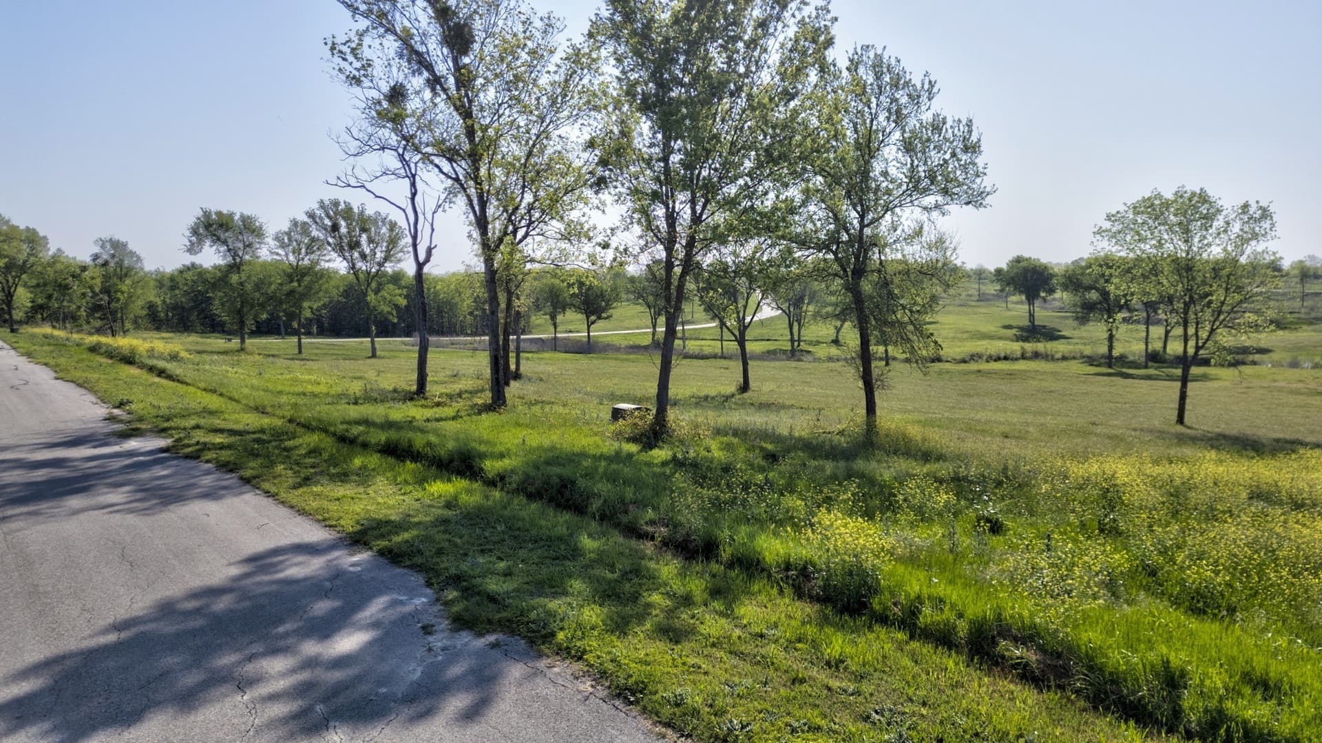 1.68 acres in Navarro County - photo 9