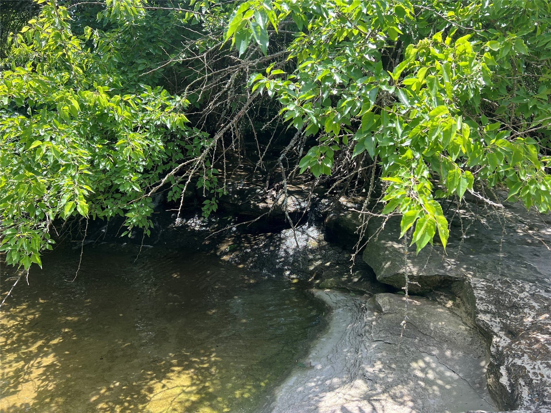 31.69 acres in Fannin County featured view