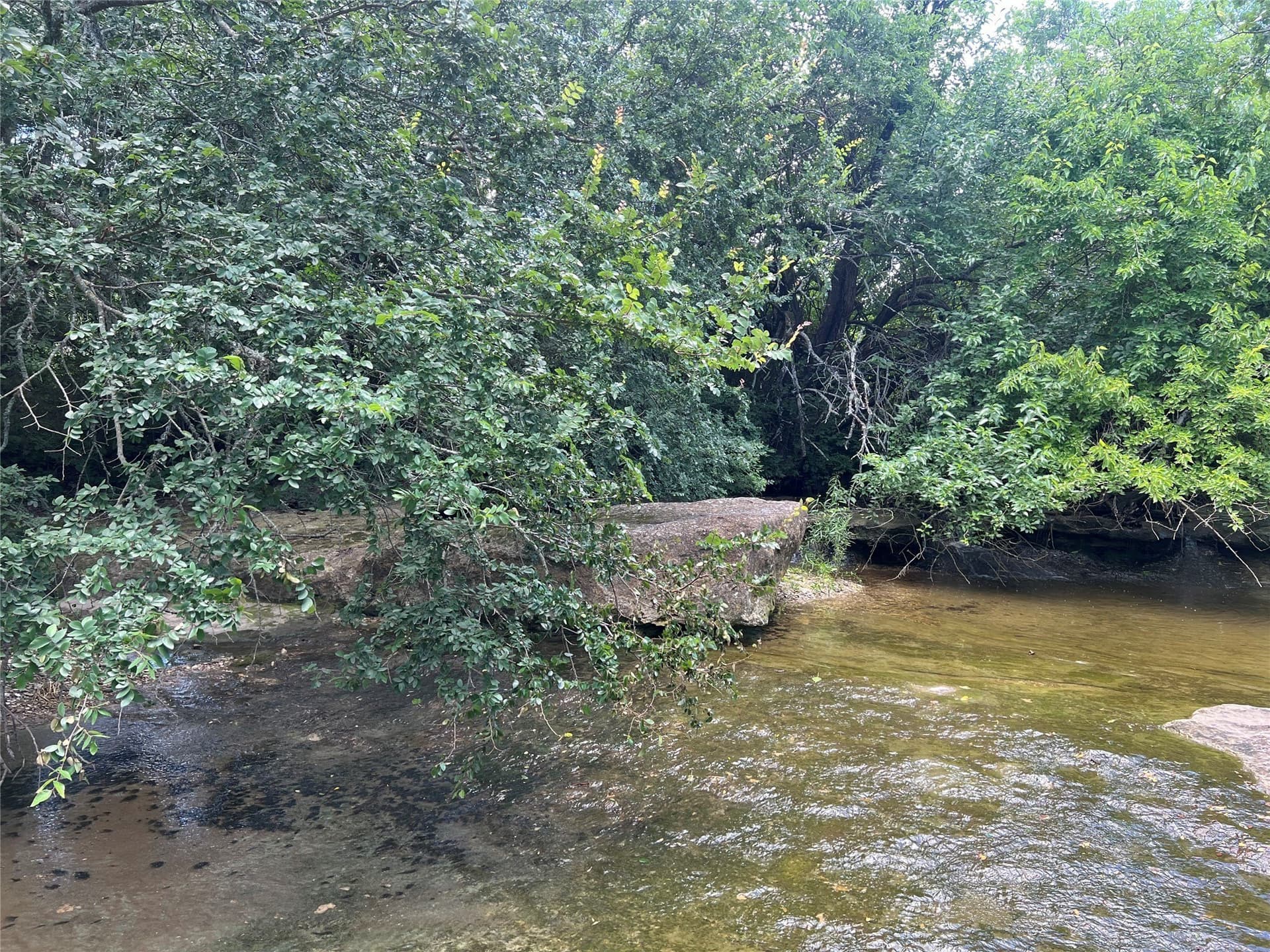31.69 acres in Fannin County gallery image 2