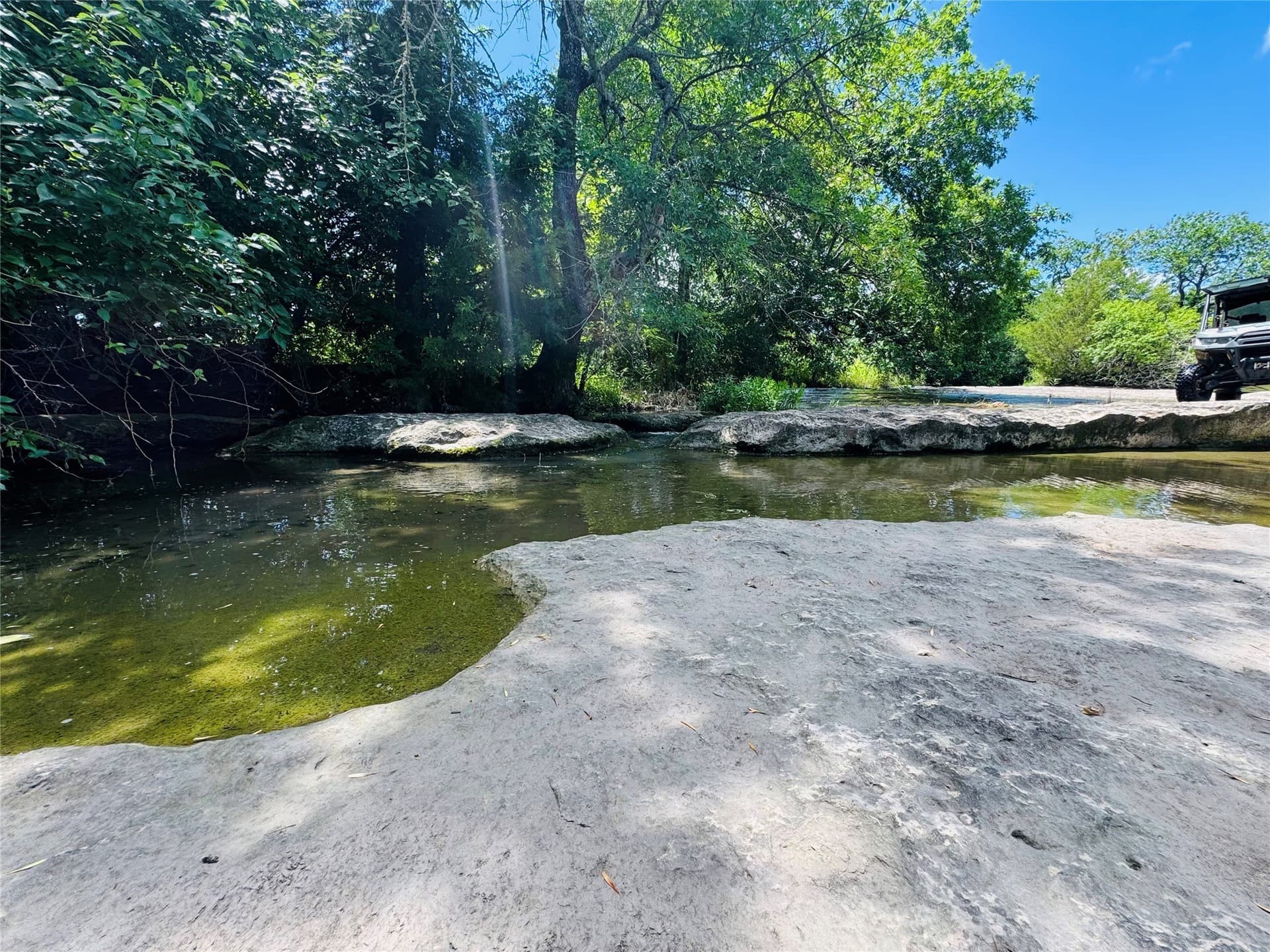 31.69 acres in Fannin County gallery image 3
