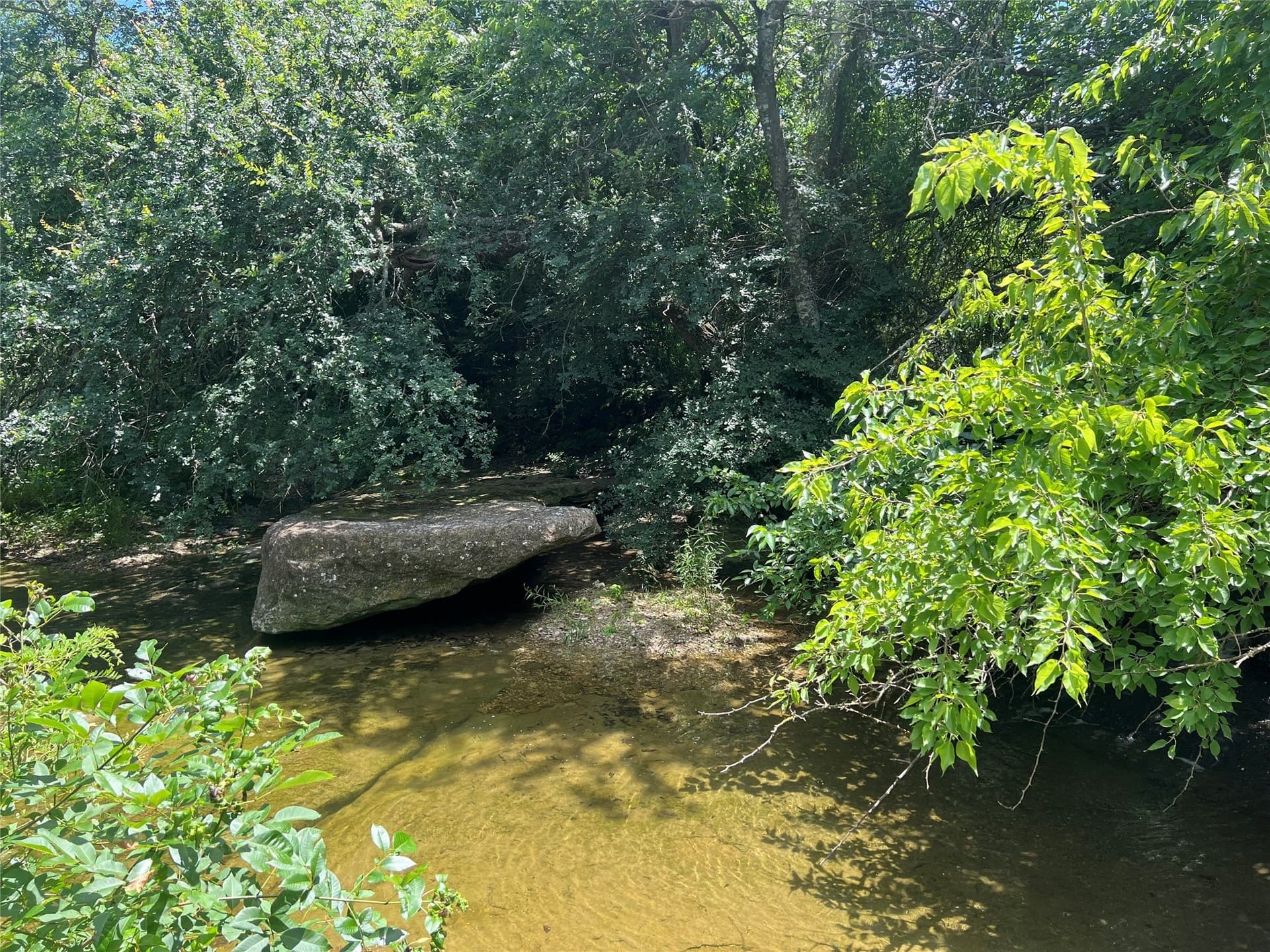 31.69 acres in Fannin County gallery image 4