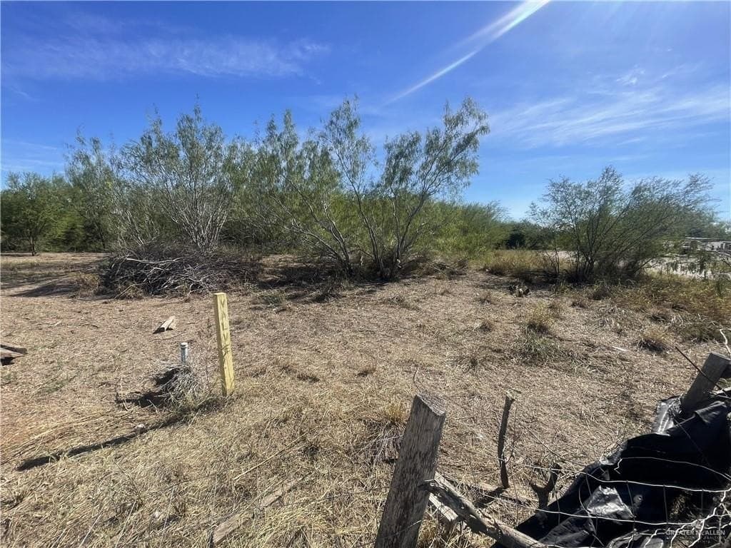0.51 acres in Hidalgo County gallery image 2