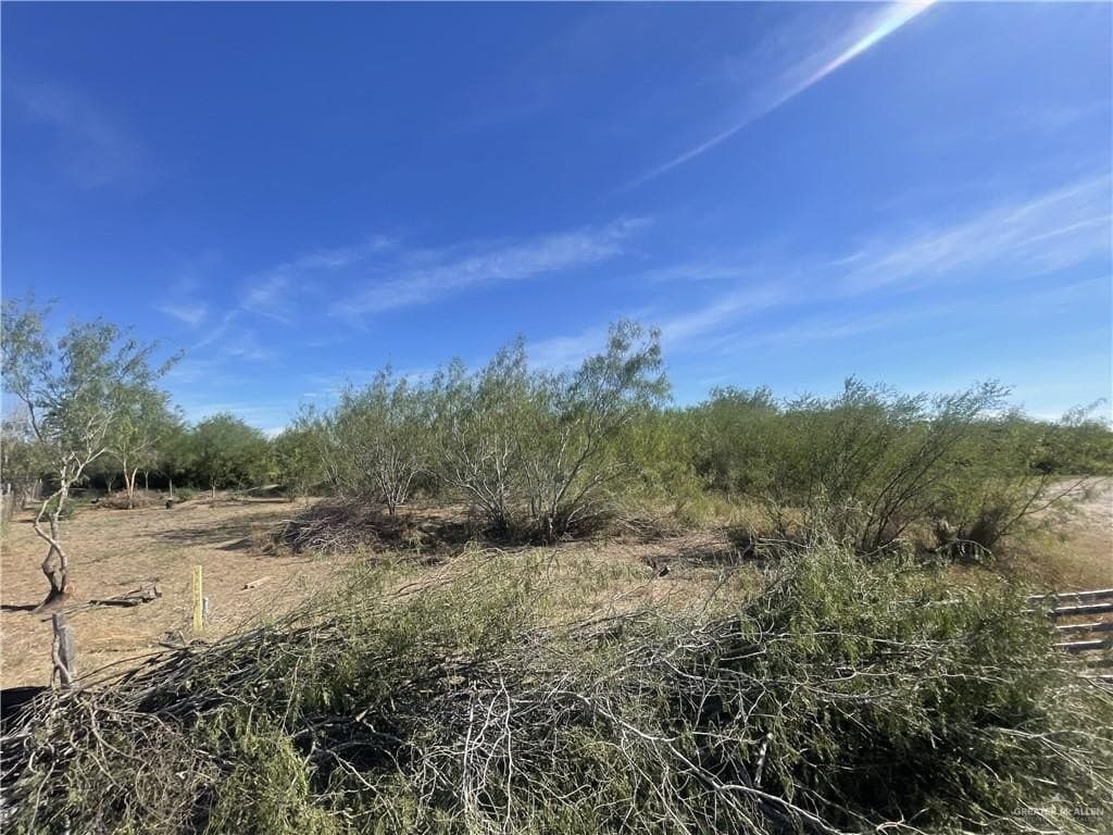 0.51 acres in Hidalgo County featured view