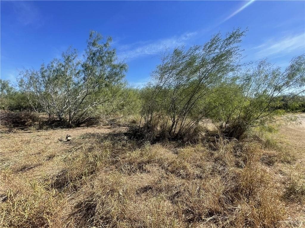 0.51 acres in Hidalgo County gallery image 3