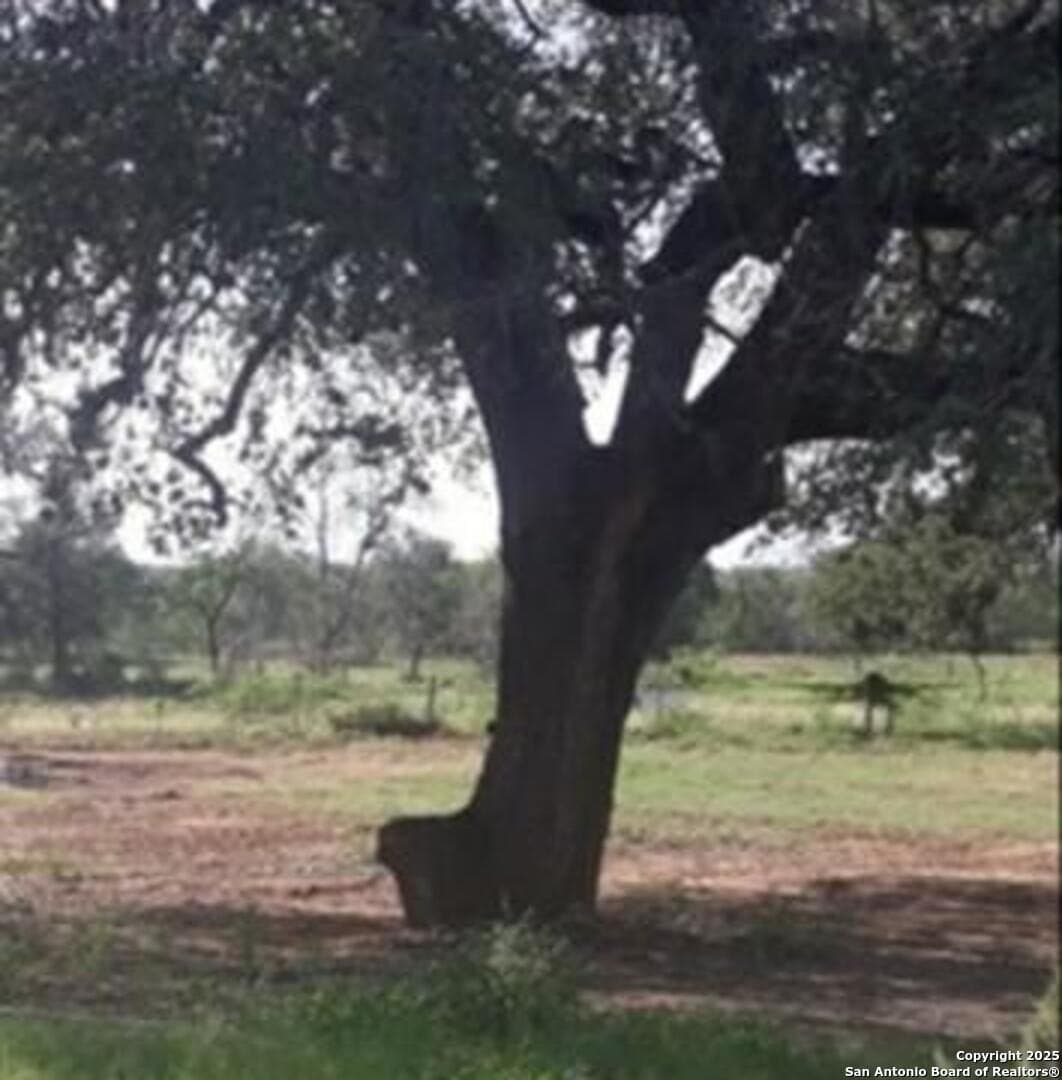 1.69 acres in Wilson County featured view