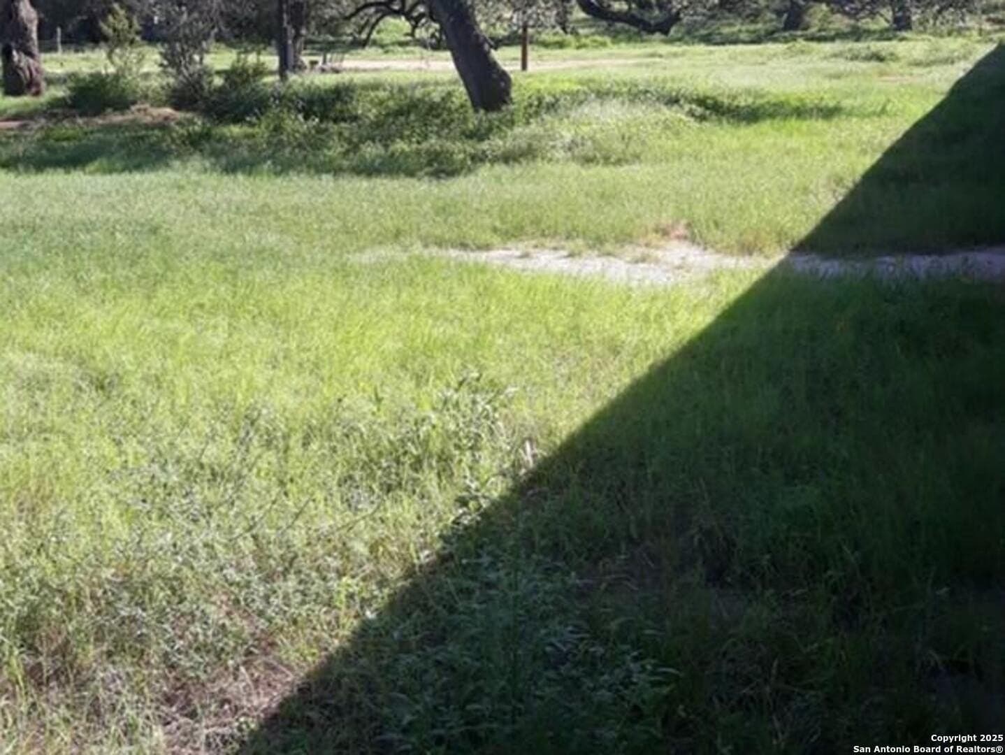 1.69 acres in Wilson County gallery image 3