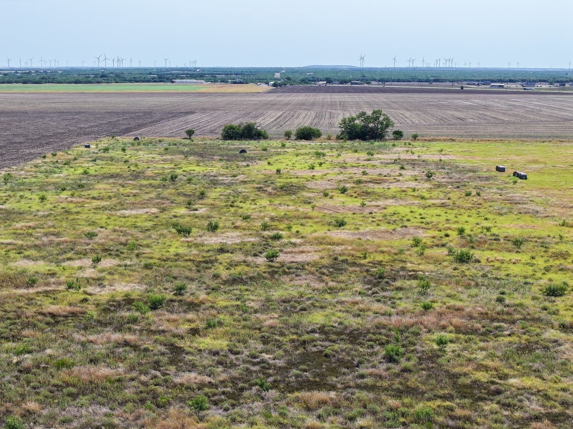 11.26 acres in Taylor County - photo 9