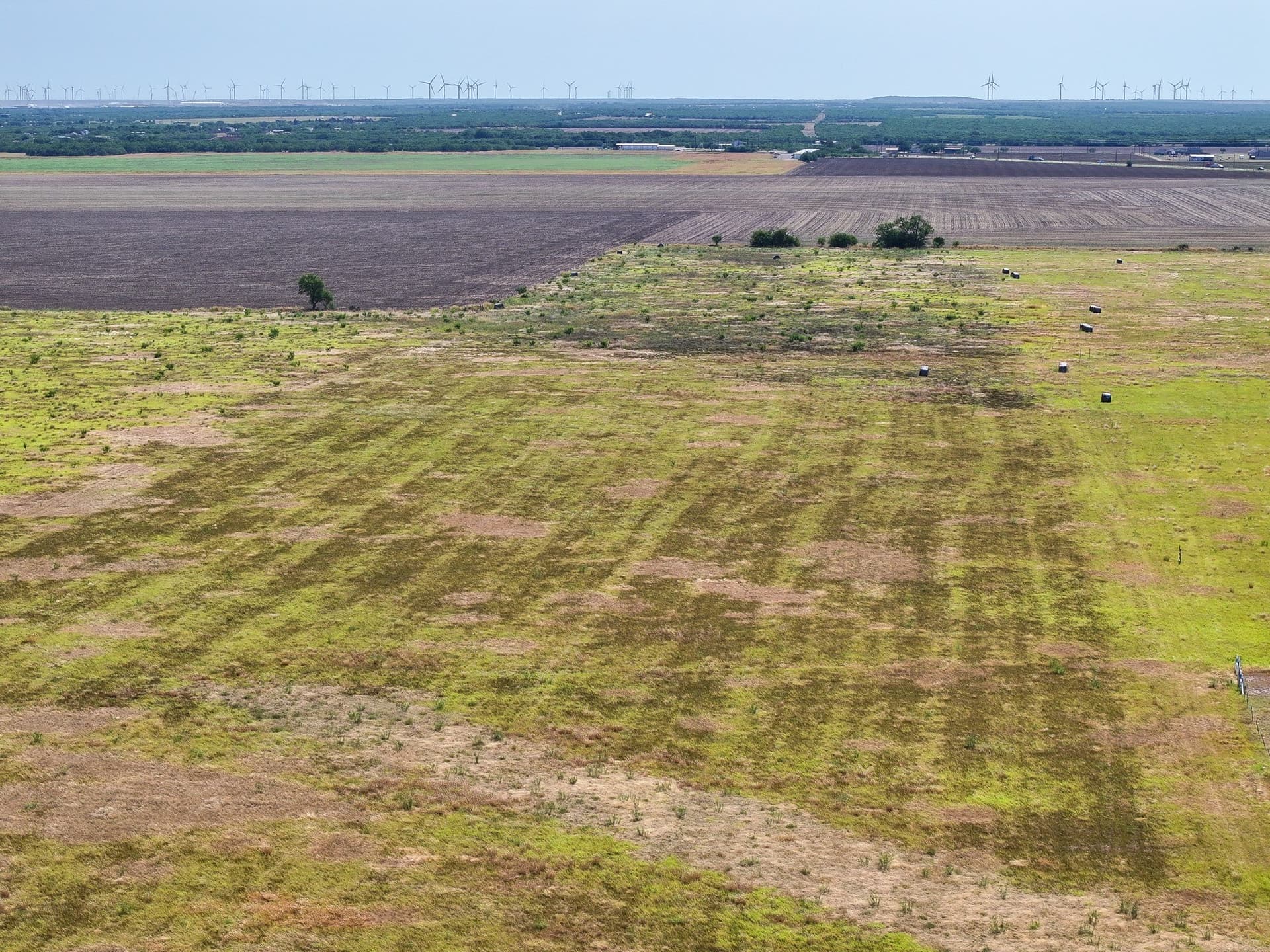11.26 acres in Taylor County - photo 6