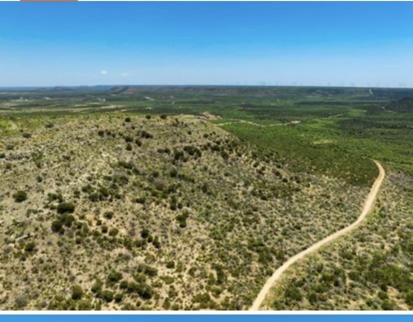 222 acres in Coke County gallery image 4