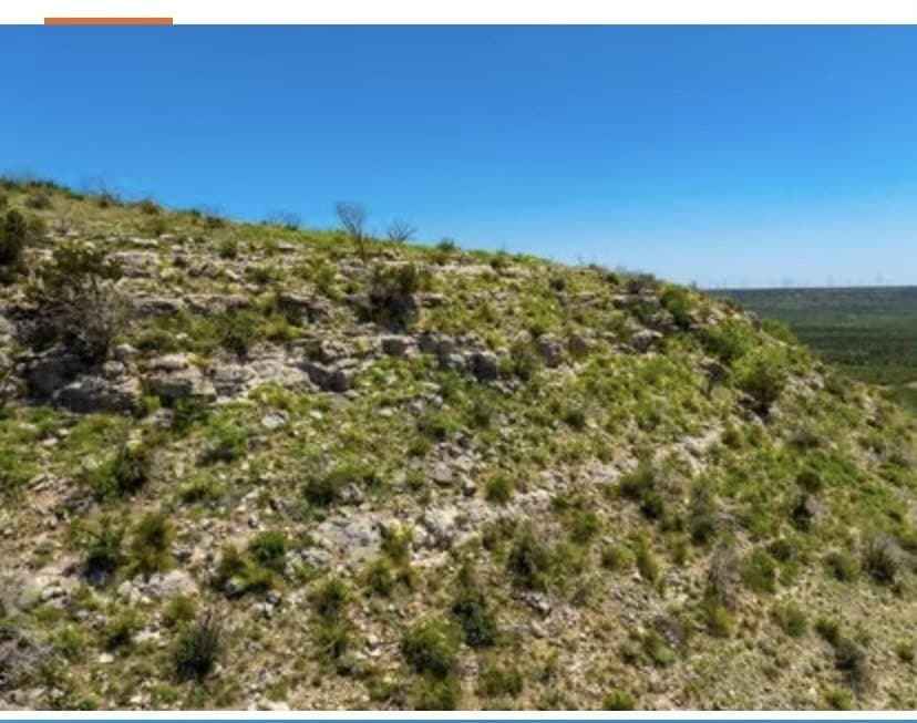 222 acres in Coke County featured view