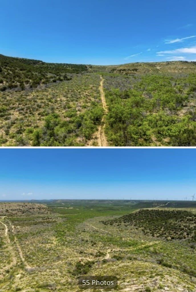 222 acres in Coke County - photo 6