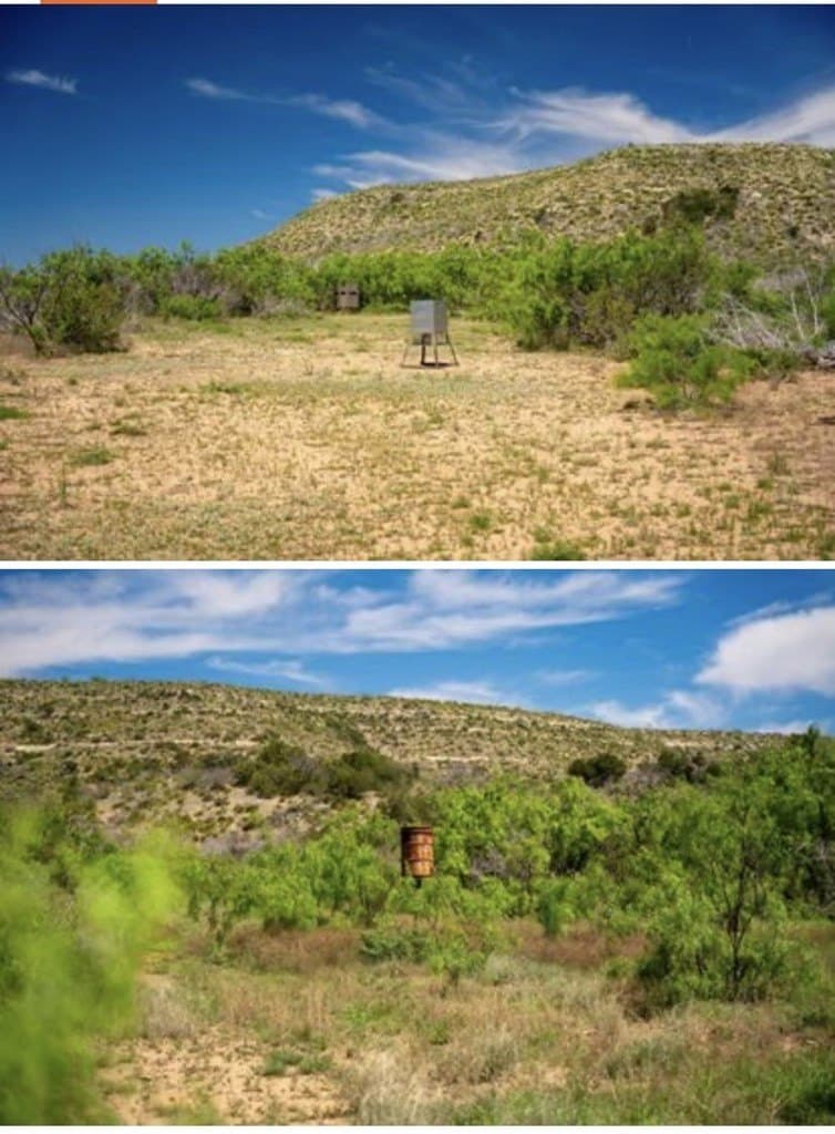 222 acres in Coke County - photo 13