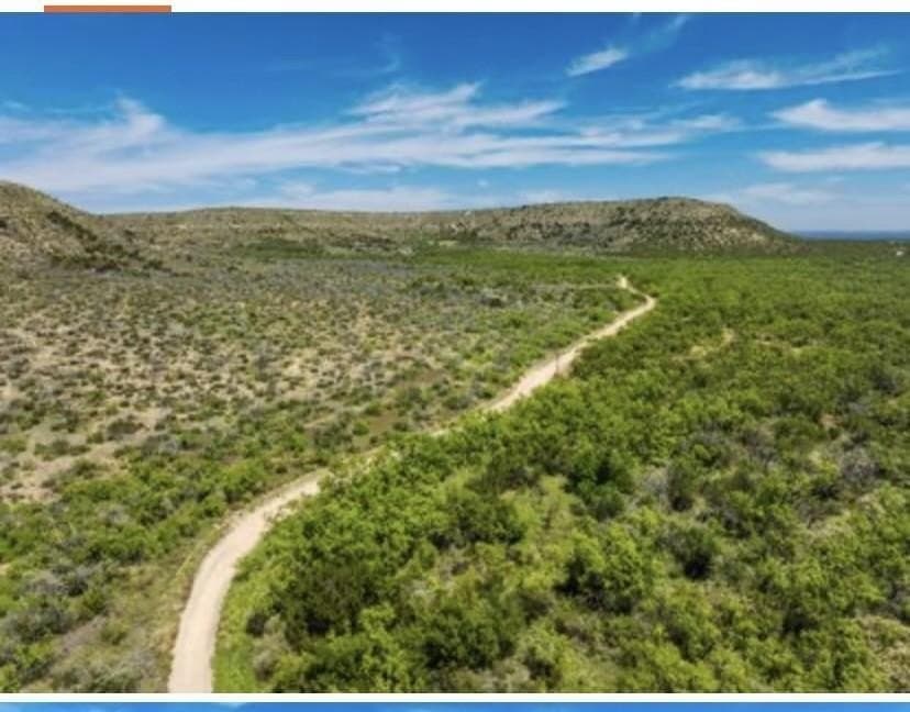 222 acres in Coke County gallery image 2