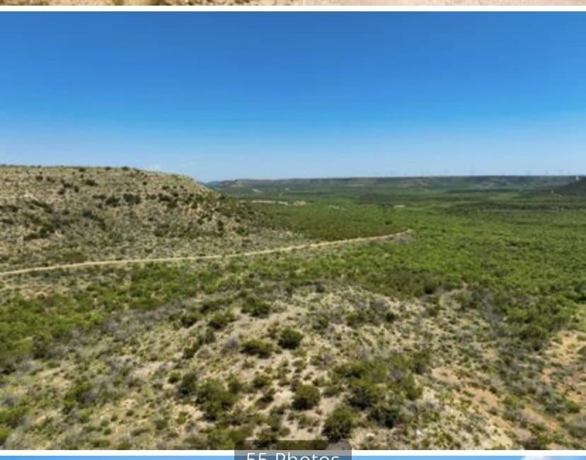 222 acres in Coke County - photo 8