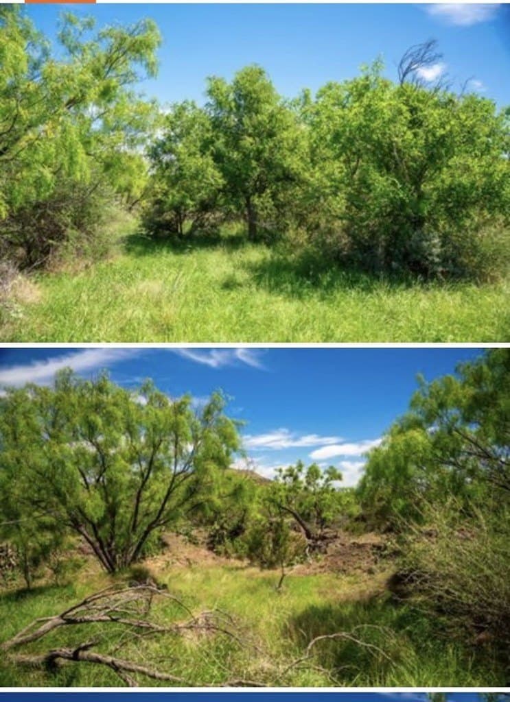 222 acres in Coke County - photo 14