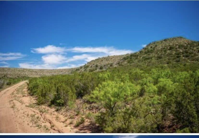 222 acres in Coke County - photo 11