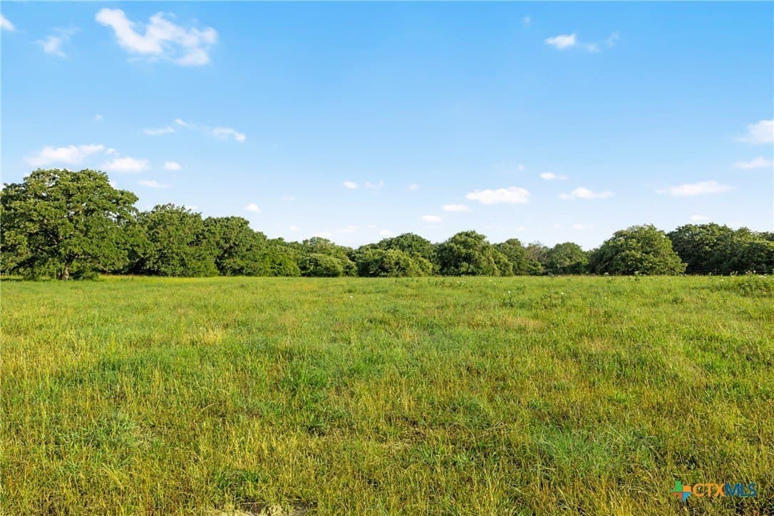 204.4 acres in Robertson County - photo 13